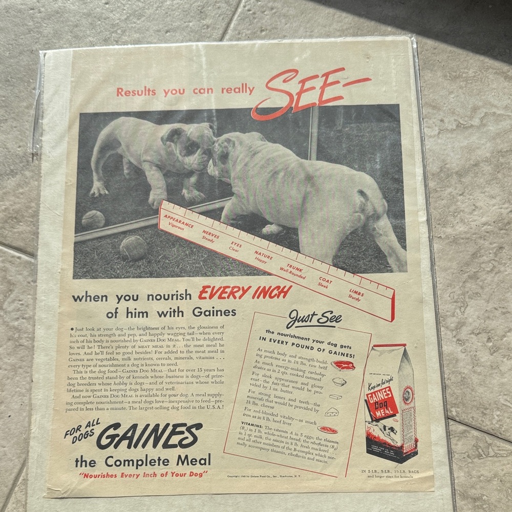Vintage Bulldog Gaines dog food ad.